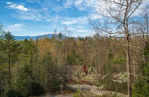 Pittman Center Cabin | Cabin ∙ 1 bedroom ∙ 4 guests