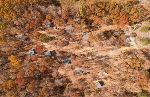 Lewis County House | Cabin 1