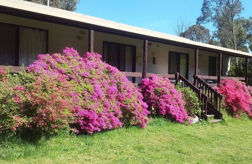 Jamieson Cabin | Cabin 2- Emerald Park