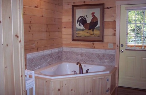 Galax Apartment | Cabin 317 - Three's a Crowd