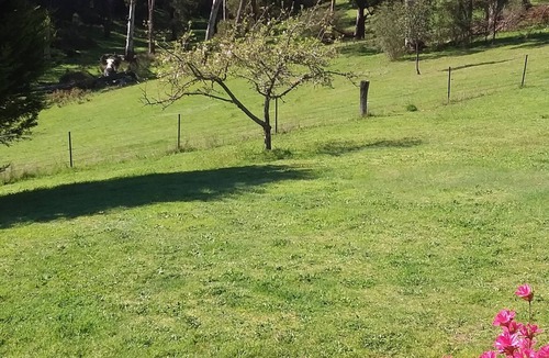 Jamieson Cabin | Cabin 4 - Emerald Park