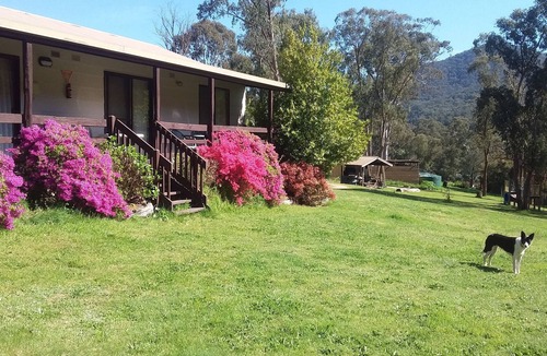 Jamieson Cabin | Cabin 4 - Emerald Park