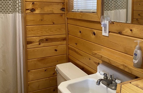Hines Resort | Cabin 4 Lakeview Family/Pet Friendly Resort Amenities Beach, Dock, Fishing Boats