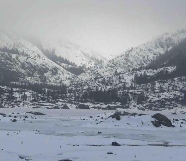 Strawberry House | Cabin #5