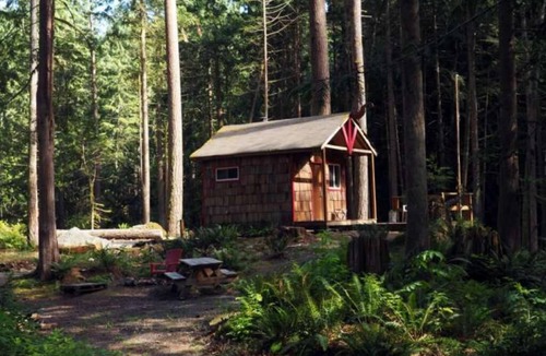 Lime Kiln Cabin | Cabin and adjacent tent site