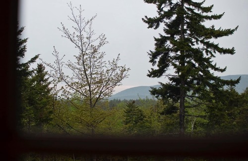 Southwest Harbor Cottage | Cabin at Granite Ledge