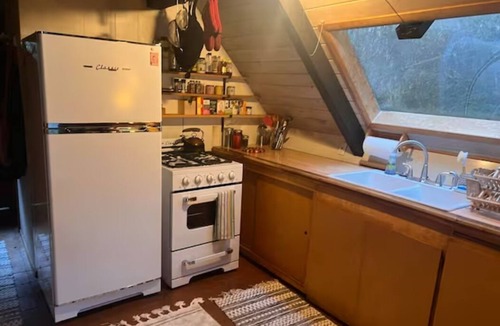 Marblemount Cabin | Cabin at Javi's Spring with forest bath!n