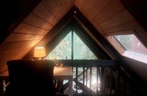 Marblemount Cabin | Cabin at Javi's Spring with forest bath!n