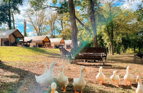 Prairie Lea Cabin | Cabin at Son's Blue River Camp! Stay here & enjoy the gorgeous San Marcos River!