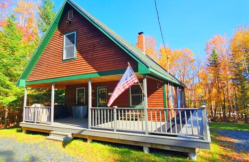 Beaver Cove Cabin | Cabin*ATV/Snowmobile Access*Fire pit*Wildlife