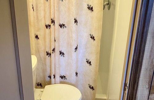 Hot Springs Cabin | Cabin by lake, pet friendly, quiet