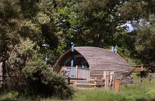 Langley-on-Tyne Ski Chalet | Cabin by Langley Dam with Lake Views