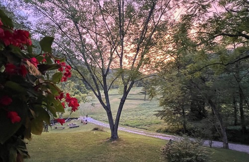Irvine Cabin | Cabin by the Creek – A Peaceful Hideaway in the Trees