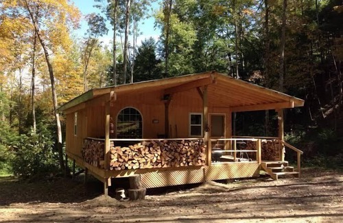 Dalton Cabin | Cabin Creek Getaway by Letchworth State Park - Waterfalls & Woods!