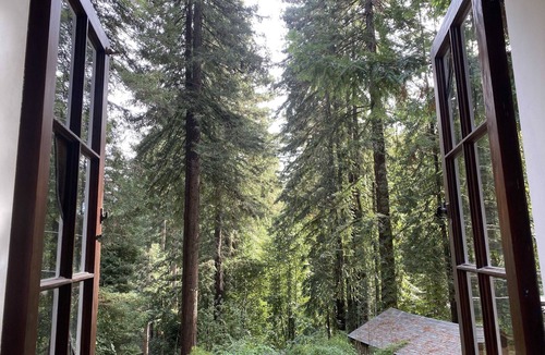 Monte Rio Cabin | Cabin Forest Retreat