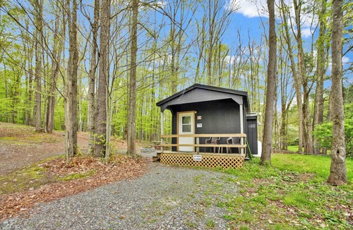 Wellsboro Apartment | Cabin full bath