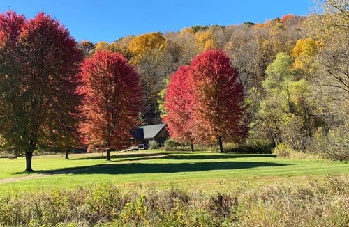 Westby Cabin | Cabin in Beautiful Timber Coulee