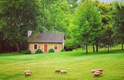 Paris Cabin | Cabin in Kentucky Horse Country