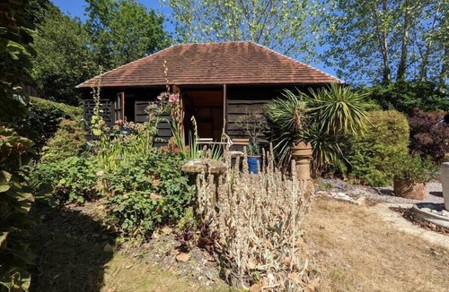 New Forest District Cabin | Cabin in the Forest.