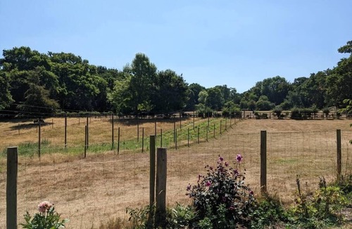 New Forest District Cabin | Cabin in the Forest.
