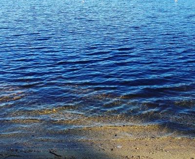 Chocorua Ski and Beach House | Cabin in the pines