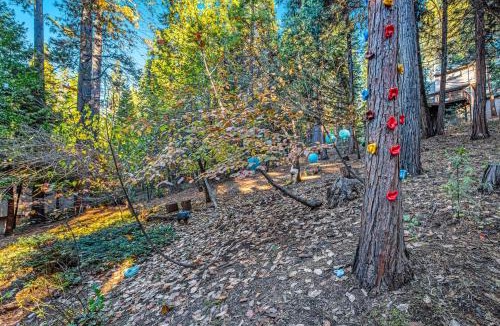 Glencoe House | Cabin In The Woods