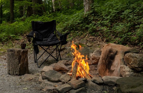 Allegheny Mountains Cabin | Cabin in the woods w/WIFI. >1 mi to Mon. Forest