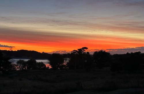 Whakapirau Cabin | Cabin Kaipara bliss/peaceful, . Pet friendly