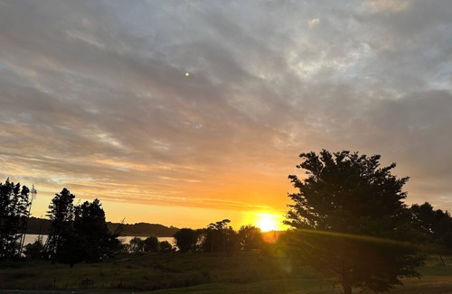 Whakapirau Cabin | Cabin Kaipara bliss/peaceful, . Pet friendly