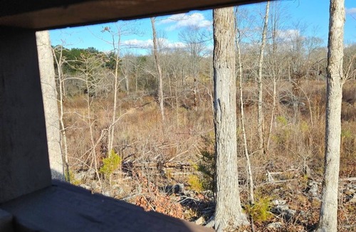Alexander City Cabin | Cabin On 40 Acres