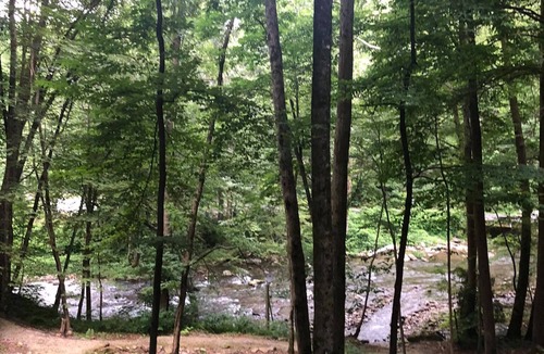 Topton Cabin | Cabin on Nantahala River! Dog-Friendly