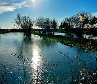 Frampton Other | Cabin on the lake