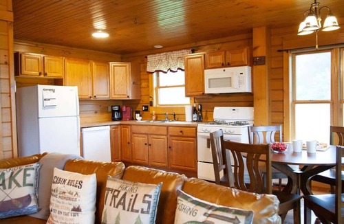 Geneva Cabin | Cabin Otisco Lake Views, Fire Pit & Pool Table