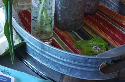 Lakeview Cabin | Cabin overlooking Drews Reservior