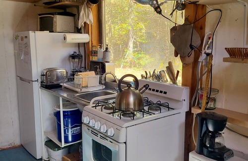 Jamaica Cabin | Cabin-Swim-Brook View-Woodfired Sauna-Firepit-Woodstove-7 min to Stratton-Dog OK