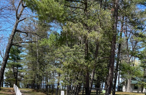 Rapid City Cabin | Cabin @ Torch with Lake Access, Kayaks & Outdoor Shower!