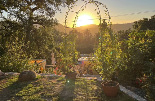 Topanga Apartment | Cabin Under Oak Tree's