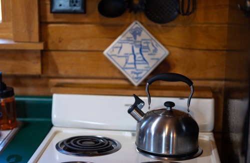Lodi Cabin | Cabin w private hot tub - dog-friendly