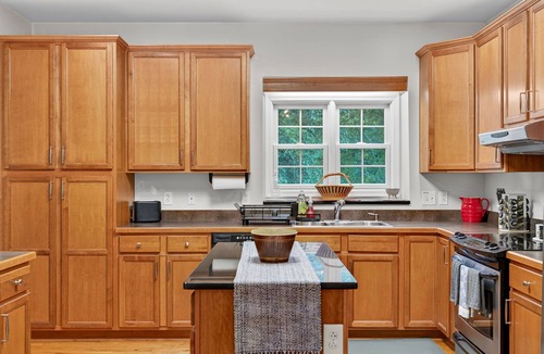 Luray House | Cabin w/screened porch, fire pit & dog-friendly