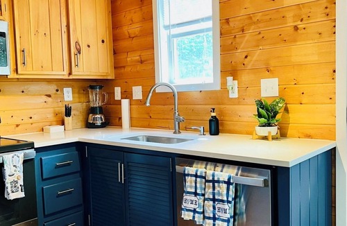 Edray Cabin | Cabin with Hot tub in Minehaha Springs