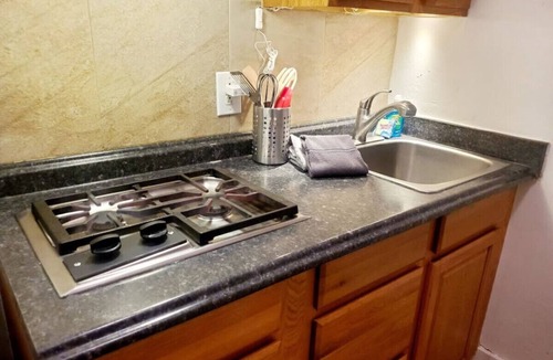 Glenwood Springs Cabin | Cabin21 PETS OK 🐾Rustic Old West Studio+Kitchen