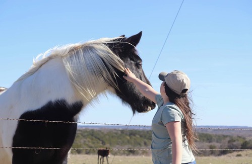 Gatesville Cabin | Cabins in Gatesville on a 1,000 acre Exotic Wildlife Ranch