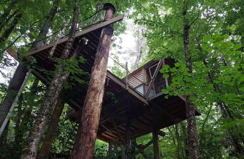 Hardwick Cabin | Caboose Got Loose.