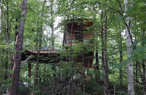 Hardwick Cabin | Caboose Got Loose.