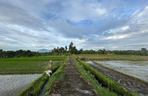 Kerambitan Apartment | Cacao Bamboo House