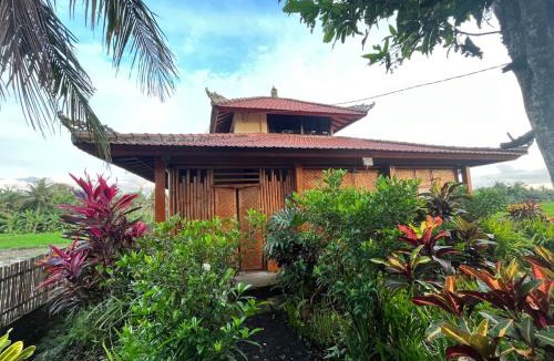 Kerambitan Apartment | Cacao Bamboo House
