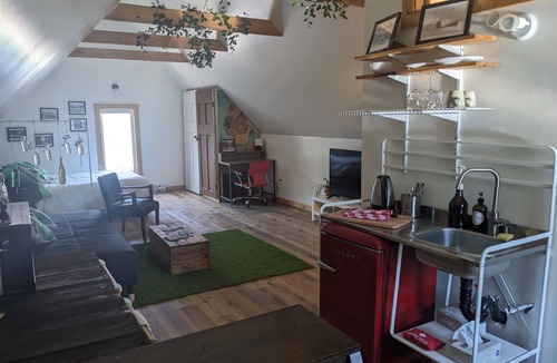 Wolfville Apartment | Cactus Suite (Downtown Wolfville)