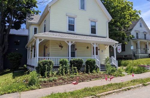 Wolfville Apartment | Cactus Suite (Downtown Wolfville)