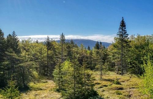 Stone Haven House | Cadillac Mountain Overlook