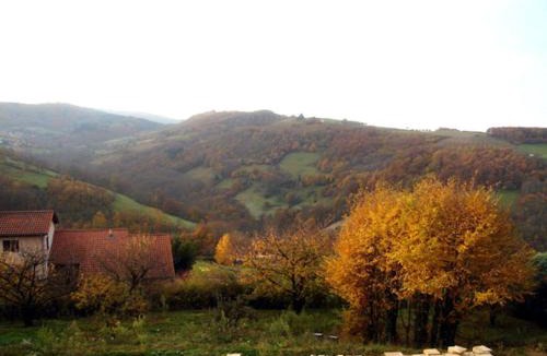 Saint-Pierre-la-Palud Bed & Breakfast | Cadre paradisiaque